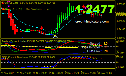 black-king-forex-trading-system