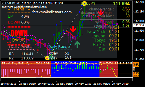 rider-evo-forex-trading-systems