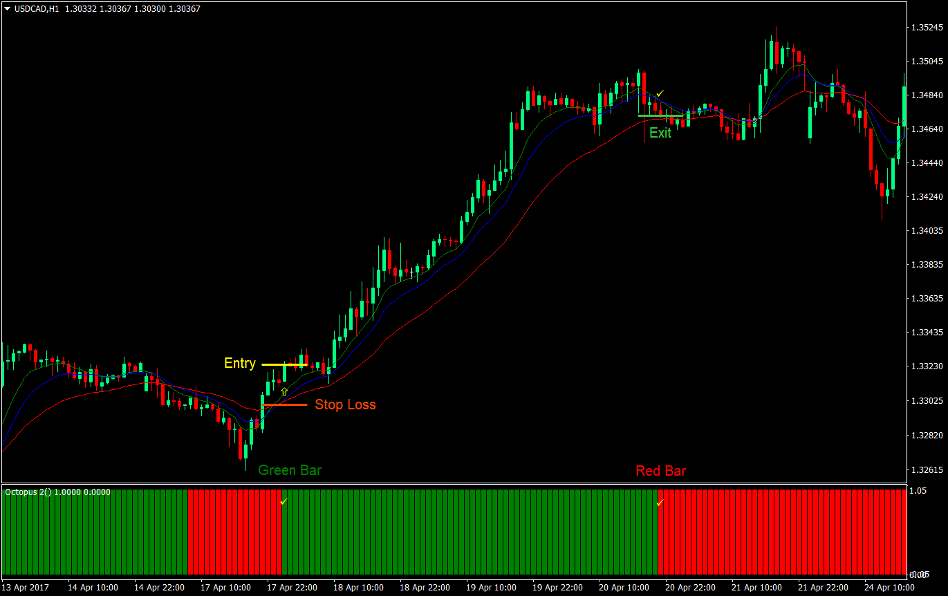 Octopus Cross Forex Trading Strategy 2 octopus cross forex trading strategy 02