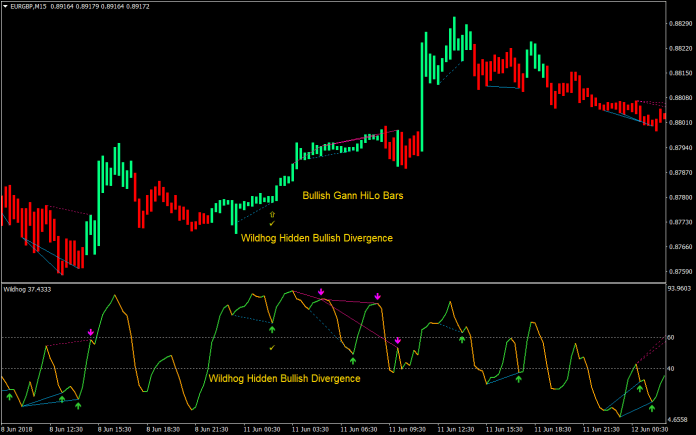 Wildhog Hidden Divergence Forex Trading Strategy-03