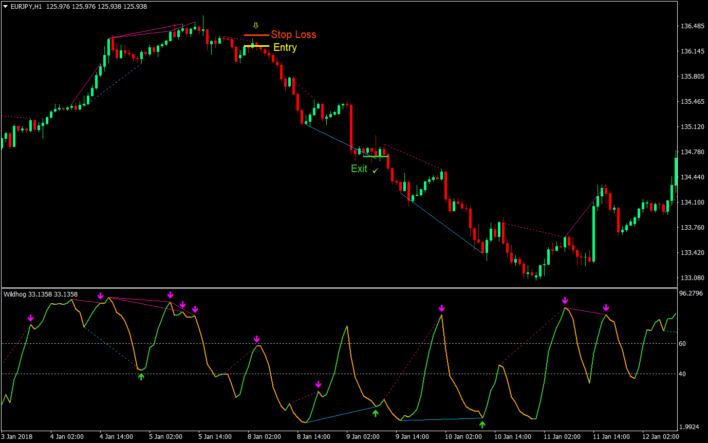 Wildhog Hidden Divergence Forex Trading Strategy 6 Wildhog Hidden Divergence Forex Trading Strategy 06