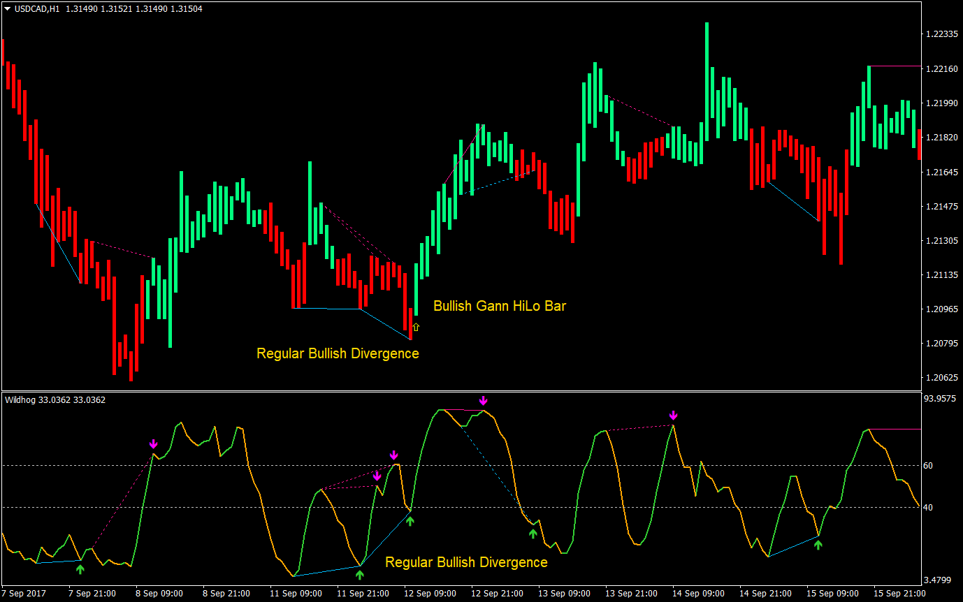 Wildhog Regular Divergence Forex Trading Strategy 2 Wildhog Regular Divergence Forex Trading Strategy 02