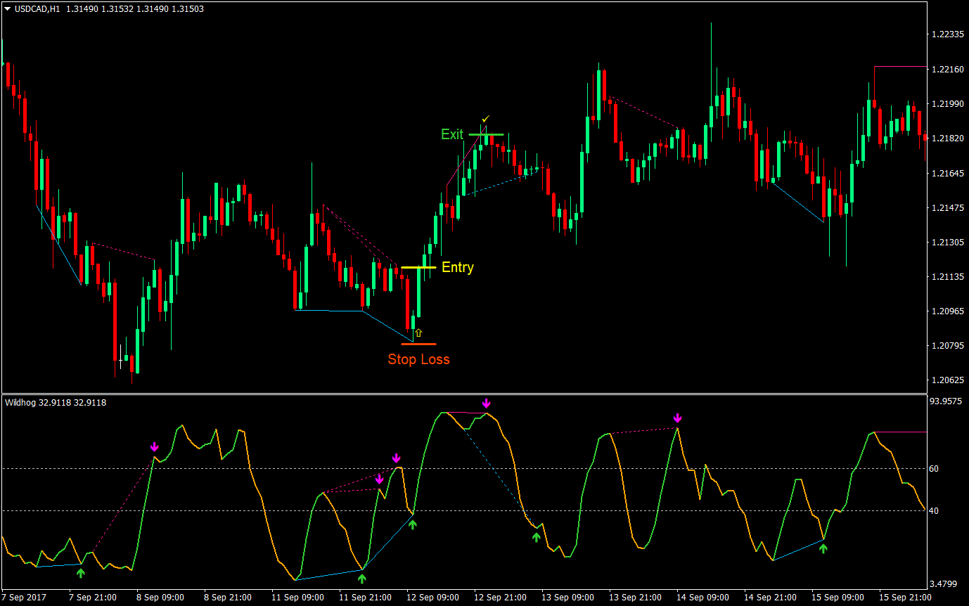 Wildhog Regular Divergence Forex Trading Strategy 3 Wildhog Regular Divergence Forex Trading Strategy 03