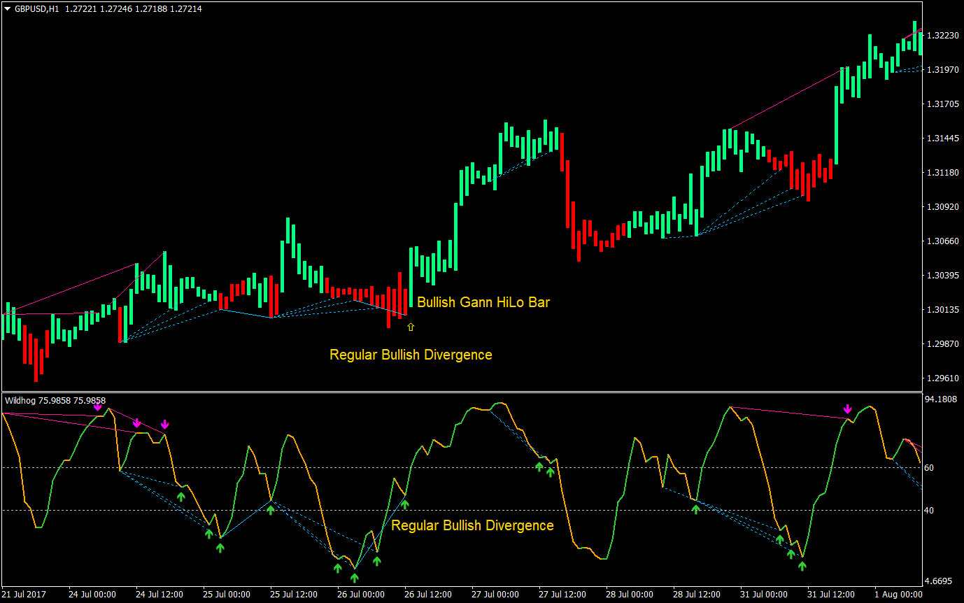 Wildhog Regular Divergence Forex Trading Strategy 4 Wildhog Regular Divergence Forex Trading Strategy 04