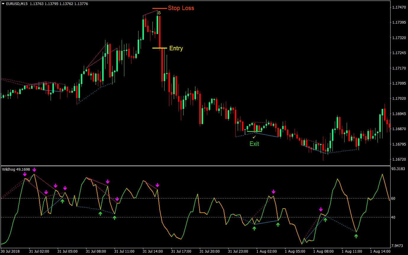 Wildhog Regular Divergence Forex Trading Strategy 7 Wildhog Regular Divergence Forex Trading Strategy 07