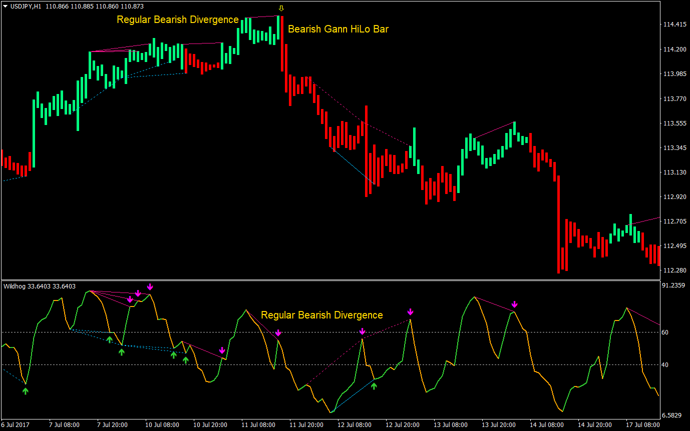 Wildhog Regular Divergence Forex Trading Strategy 8 Wildhog Regular Divergence Forex Trading Strategy 08