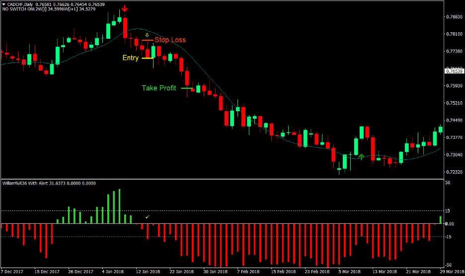 Yang Trader Forex Trading Strategy 3 Yang Trader Forex Trading Strategy 3