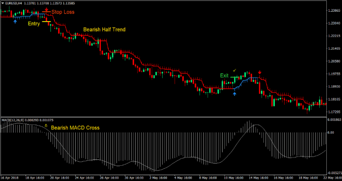 MACD Half Trend Forex Trading Strategy 3