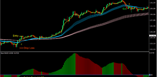 Rads MACD Trend Forex Trading Strategy