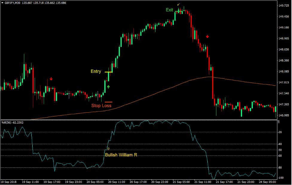 William R Momentum Trading Strategy - ForexMT4Indicators.com