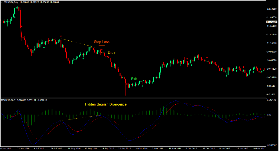 7-21 MACD Divergence Forex Trading Strategy 3