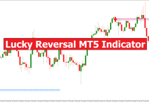 Lucky Reversal MT5 Indicator