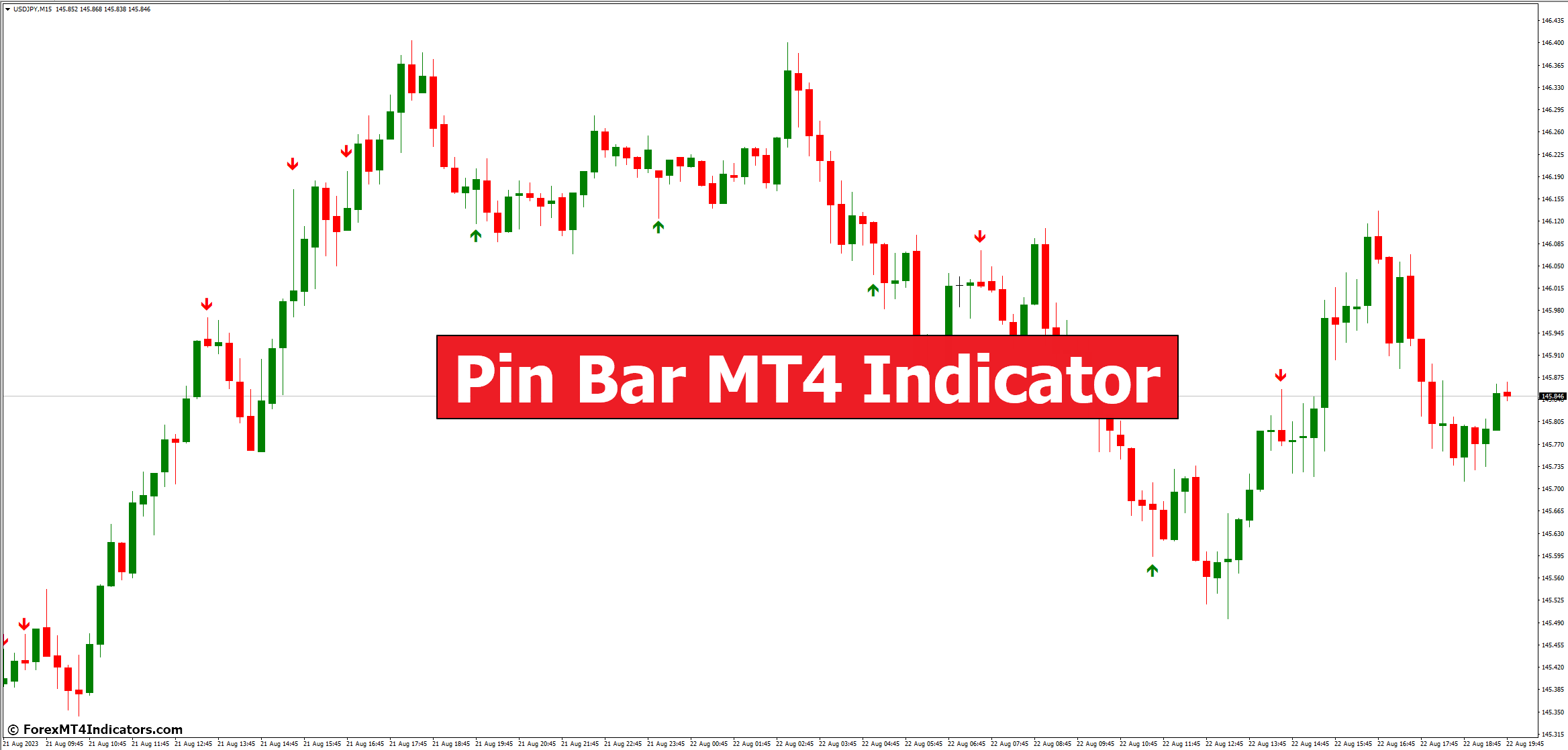 Pin Bar MT4 Indicator 1 Pin Bar MT4 Indicator