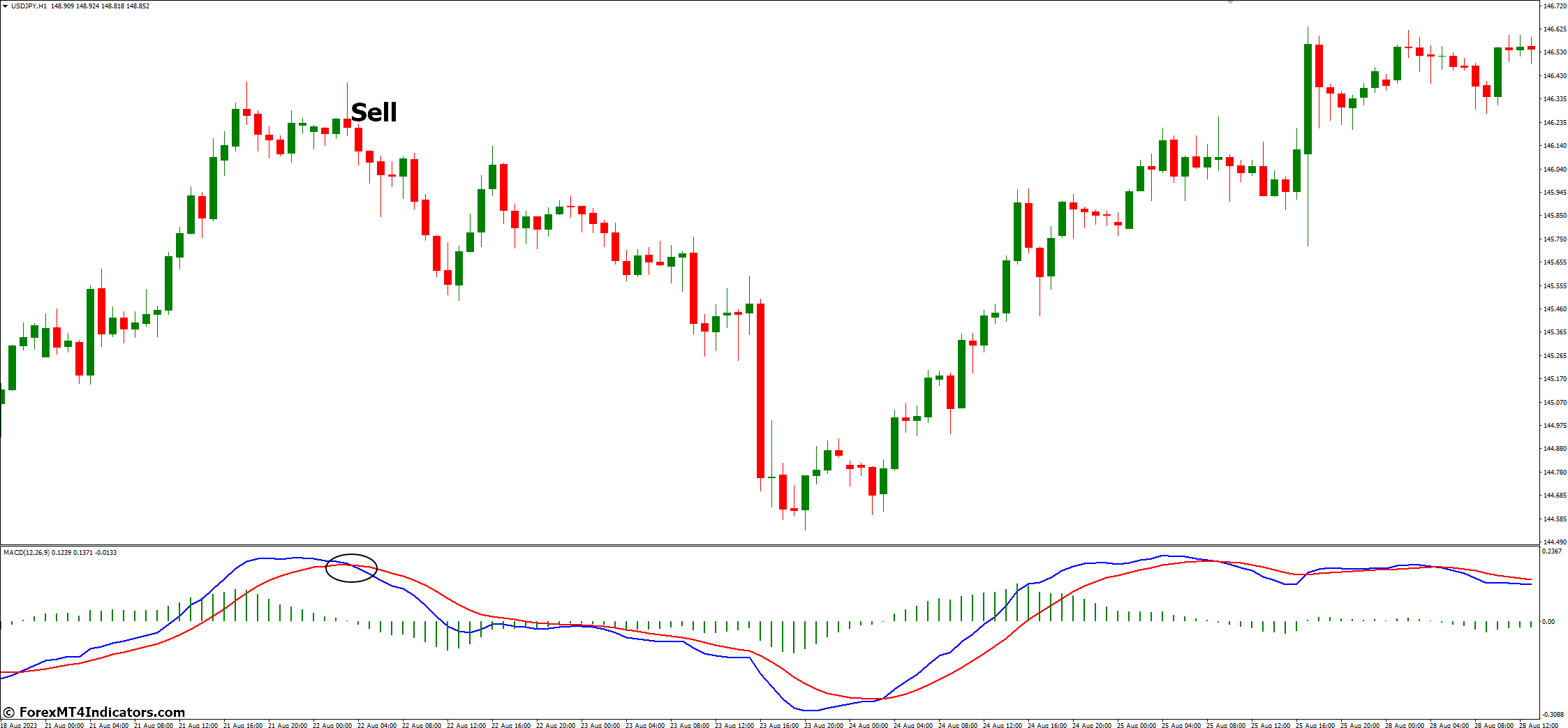 How to Spot Buy and Sell Signals with MACD - Bearish Signals