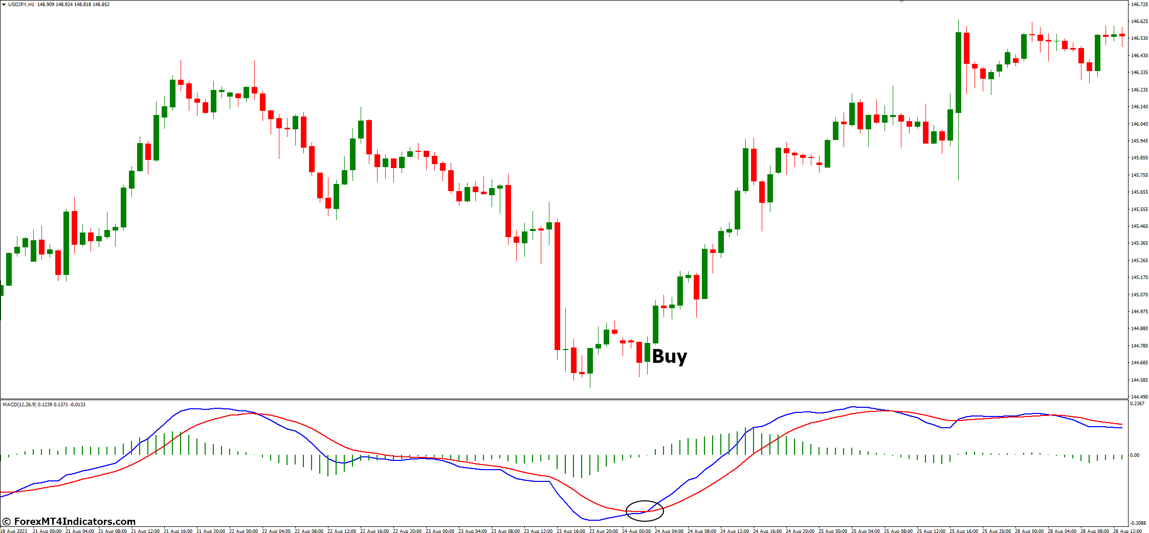 How to Spot Buy and Sell Signals with MACD - Bullish Signals
