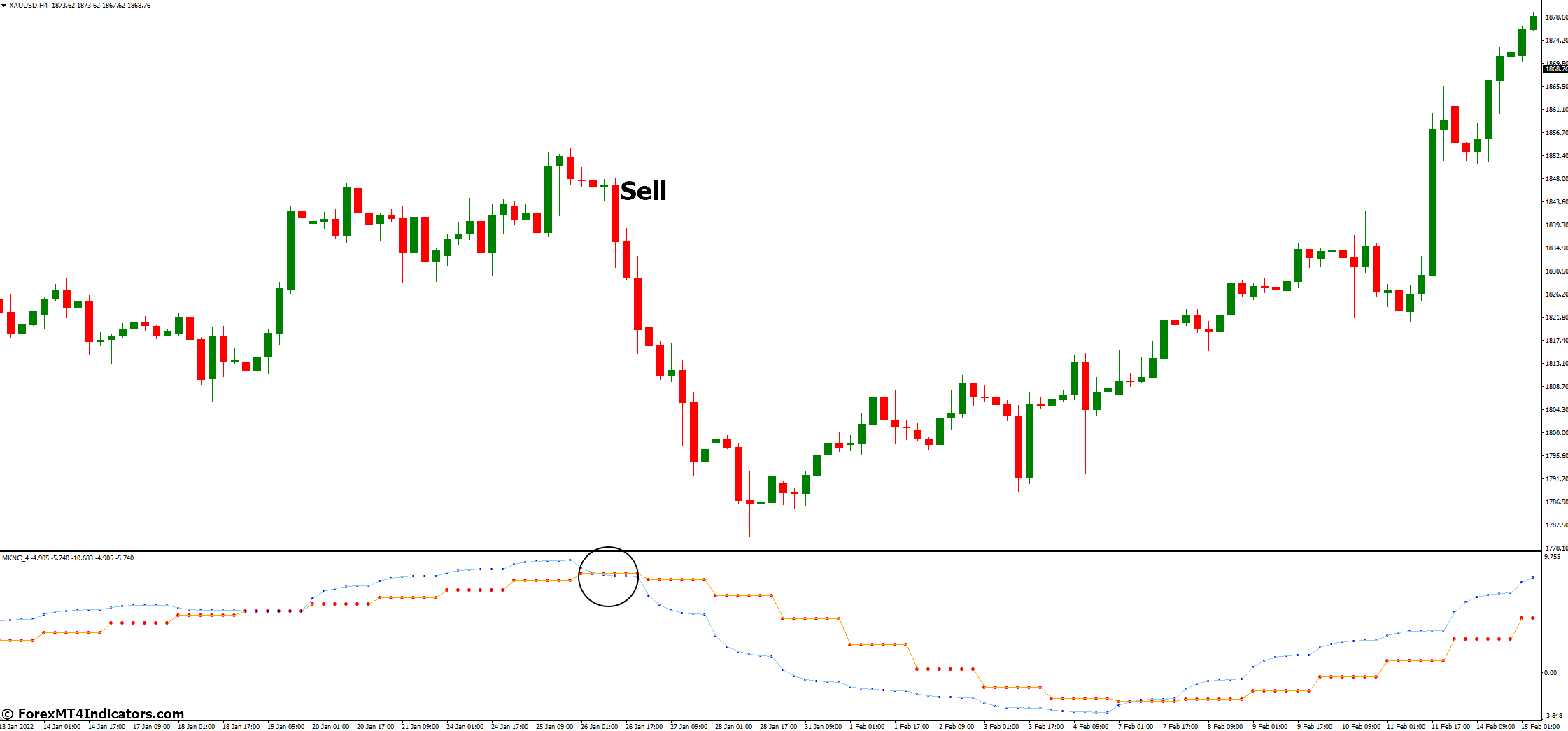 How to Trade with Trend Reversal MT4 Indicator - Sell Entry