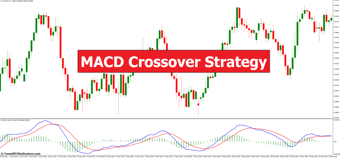 MACD Crossover Strategy