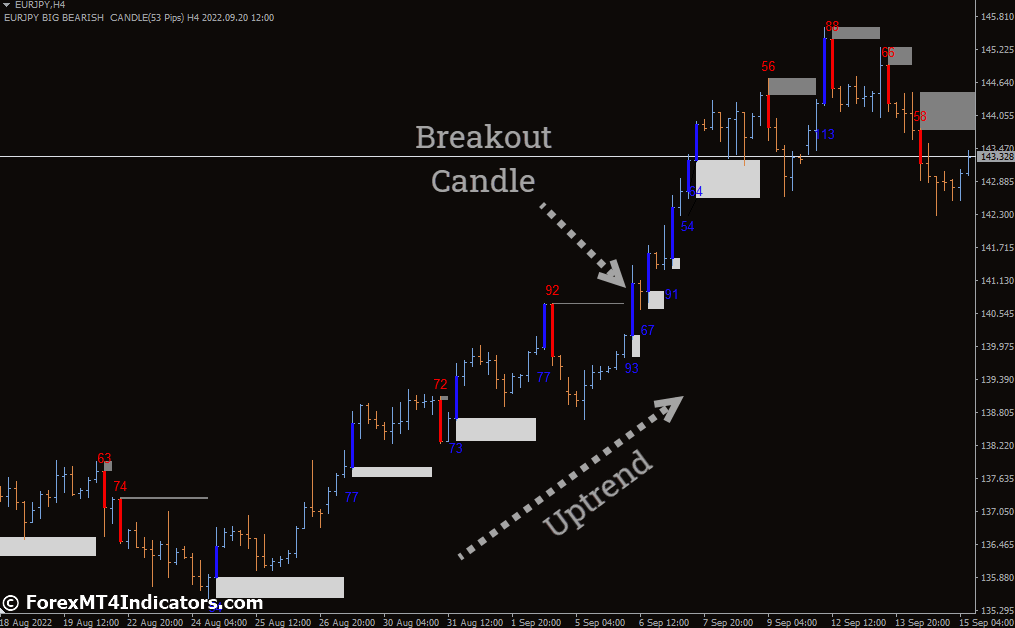 How to Trade with Big Candle Alert MT4 Indicator
