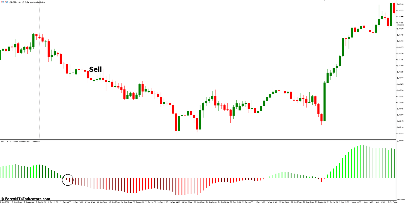 How to Trade with MACD 4C MT5 Indicator - Sell Entry