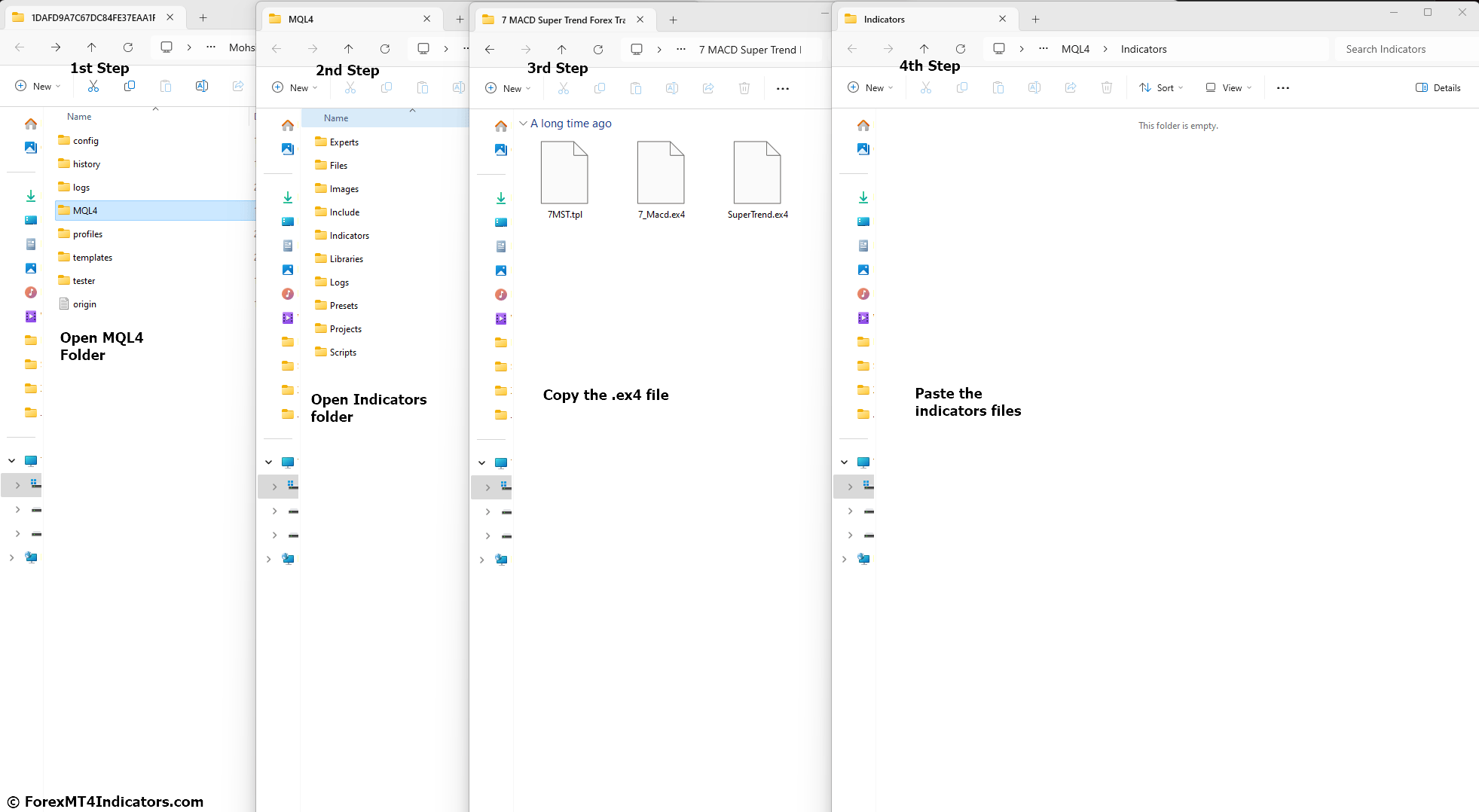 Move the Files to the Correct Folders