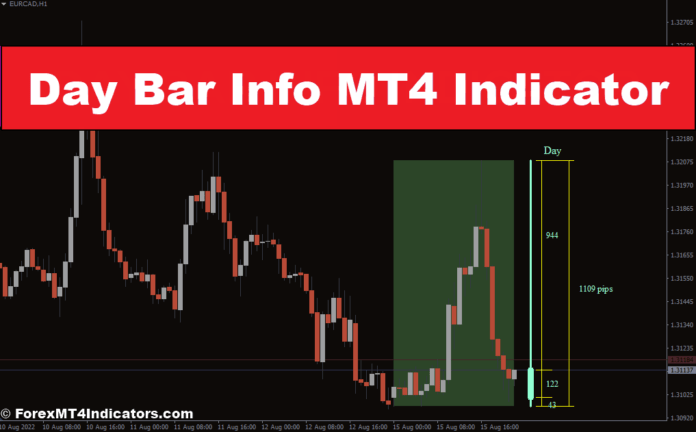 Day Bar Data MT4 Indicator
