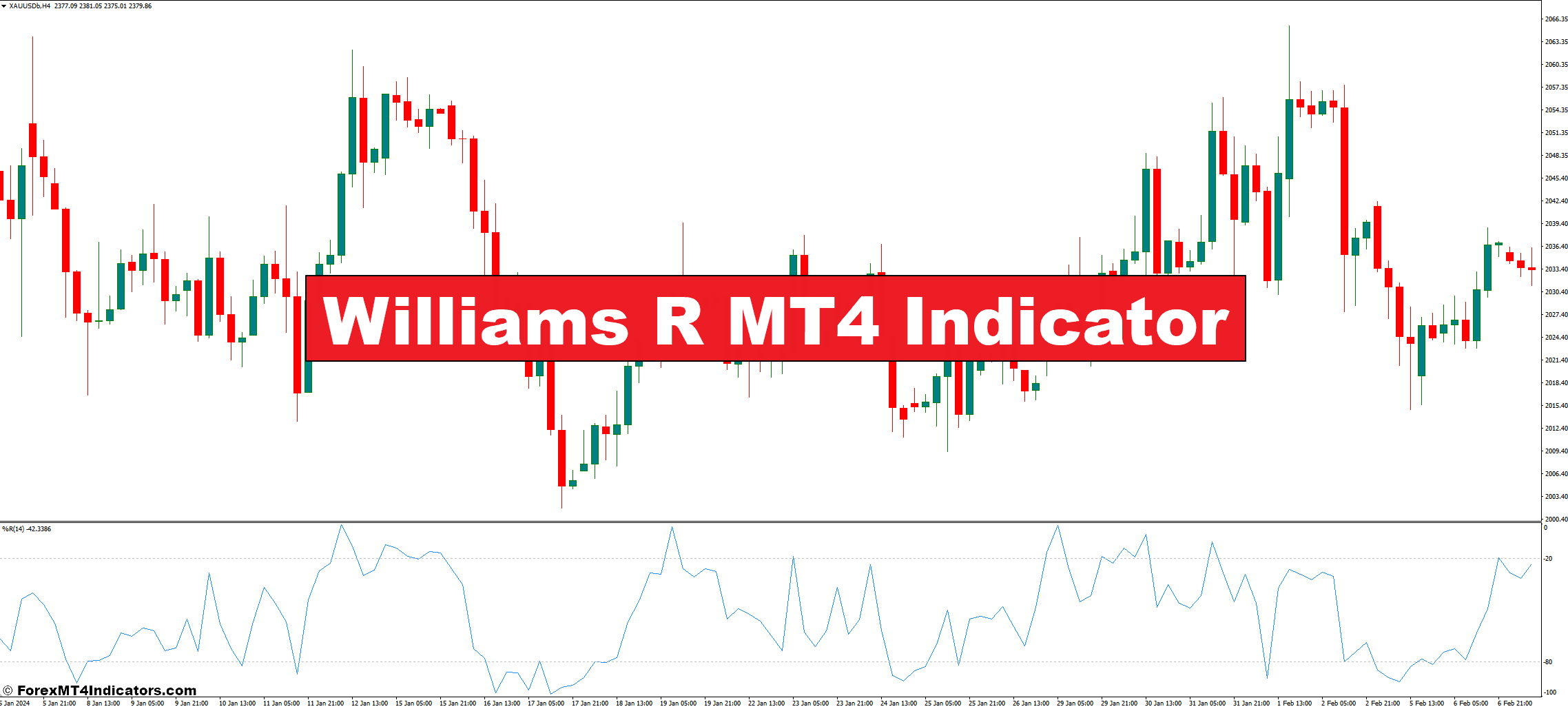 Williams R MT4 Indicator – ForexMT4Indicators.com