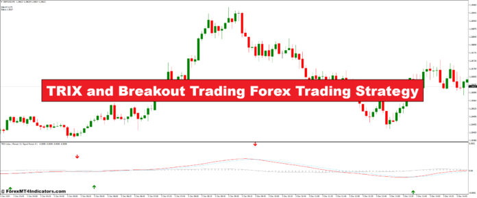 TRIX and Breakout Trading Forex Trading Strategy