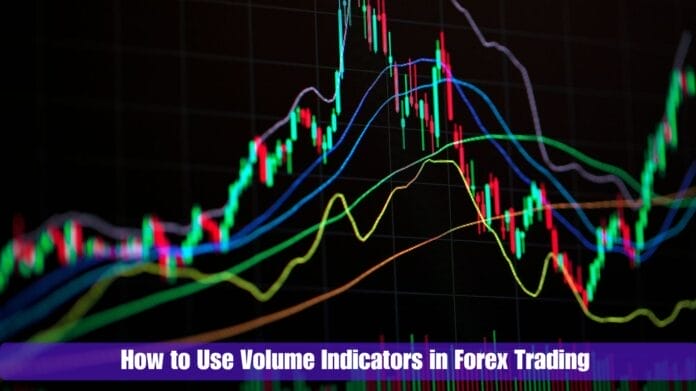 How to Use Volume Indicators in Forex Trading