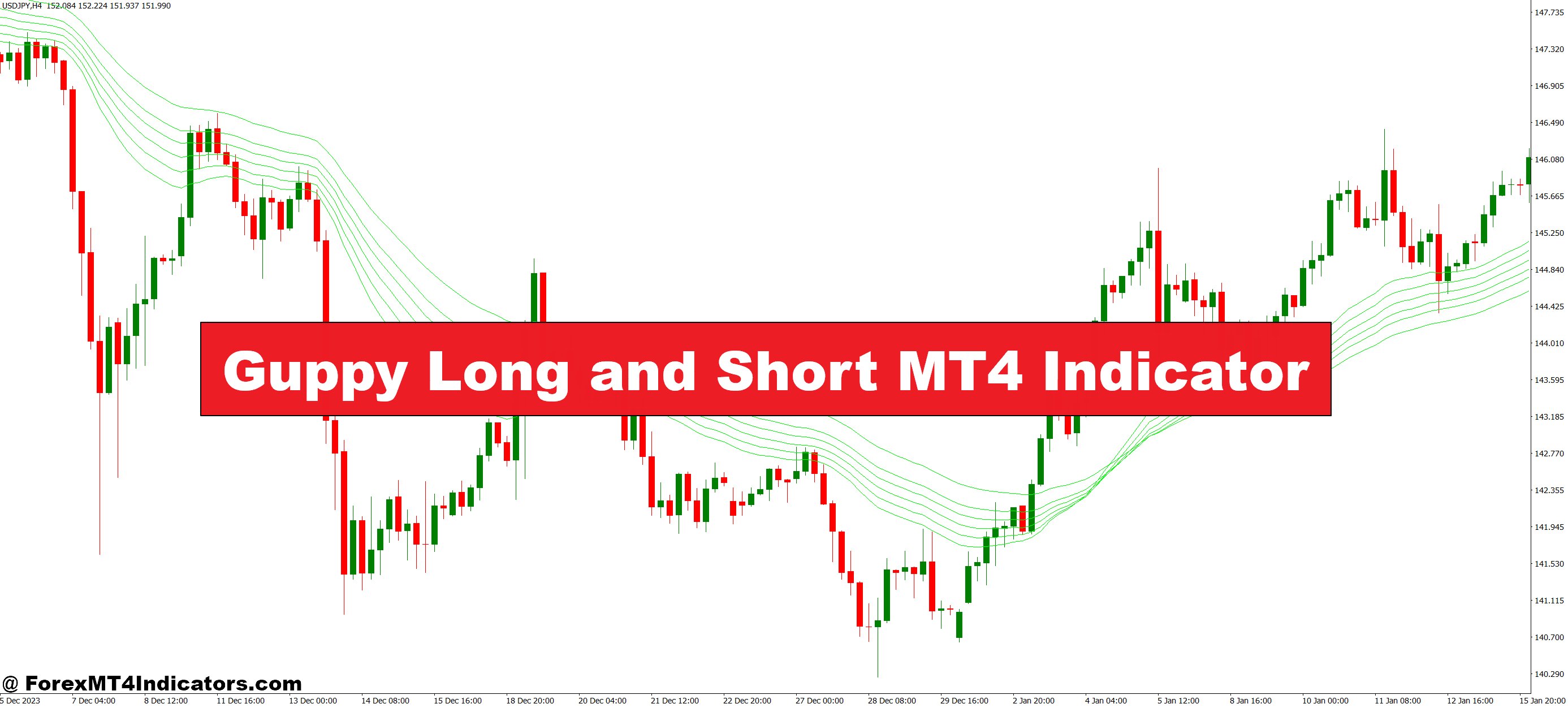 Guppy Lengthy and Quick MT4 Indicator