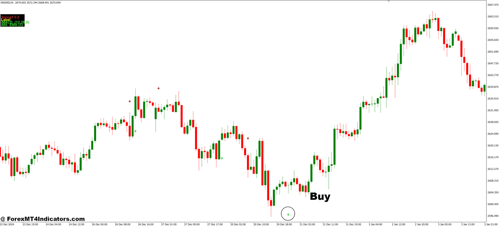 How to Trade with Indicator Arrows MT4 Indicator - Buy Entry