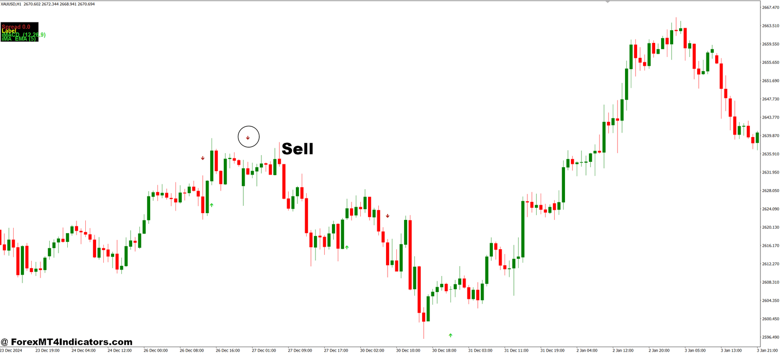 How to Trade with Indicator Arrows MT4 Indicator - Sell Entry
