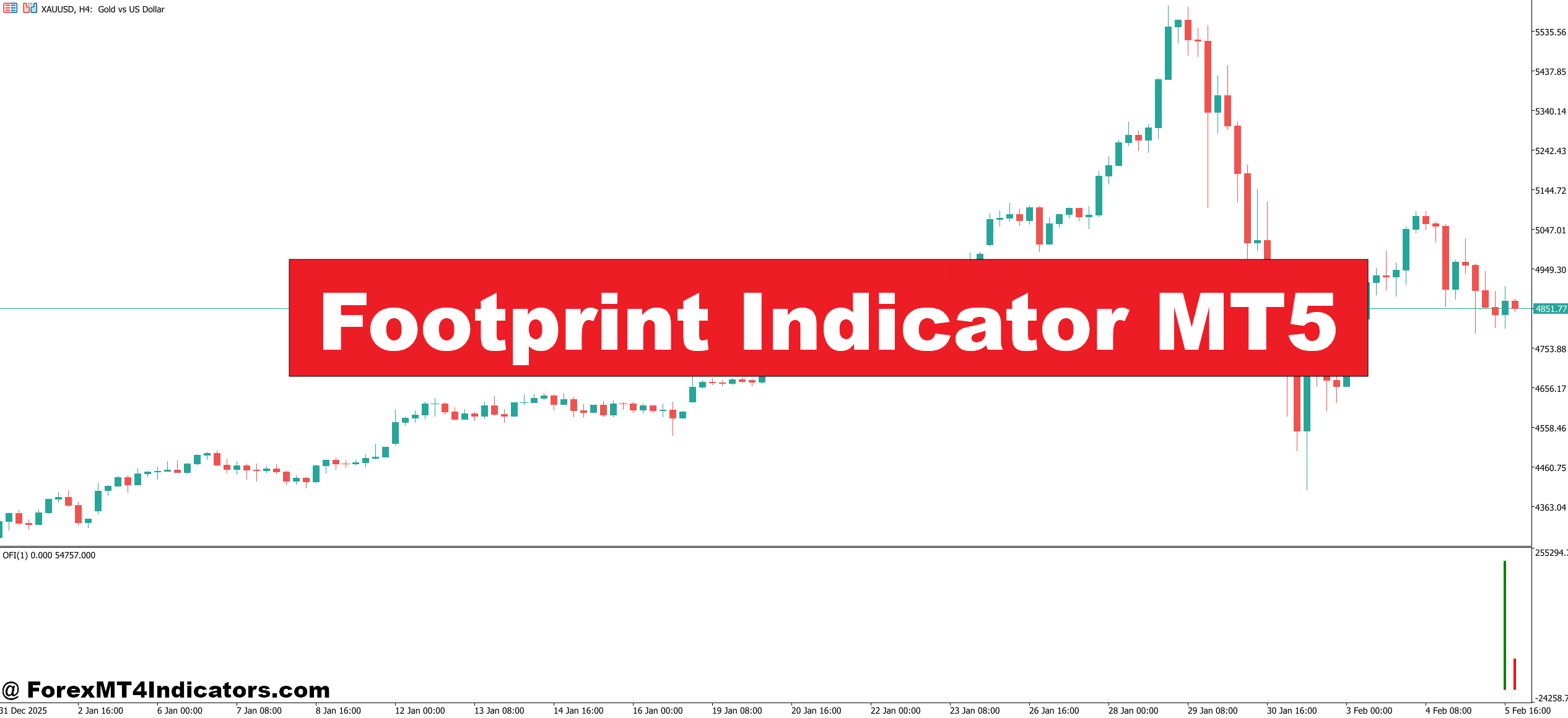 Footprint Indicator MT5